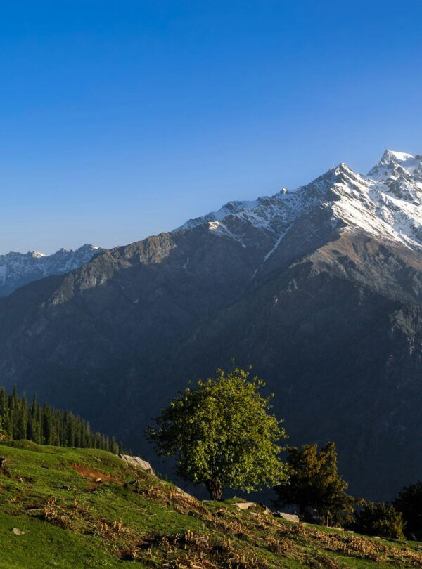 Manali Kasol tour package