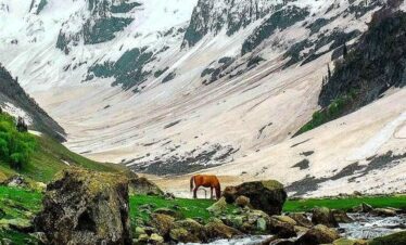 Kashmir holiday package