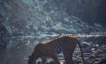 Nainital Tour Package 2 nights 3 days
