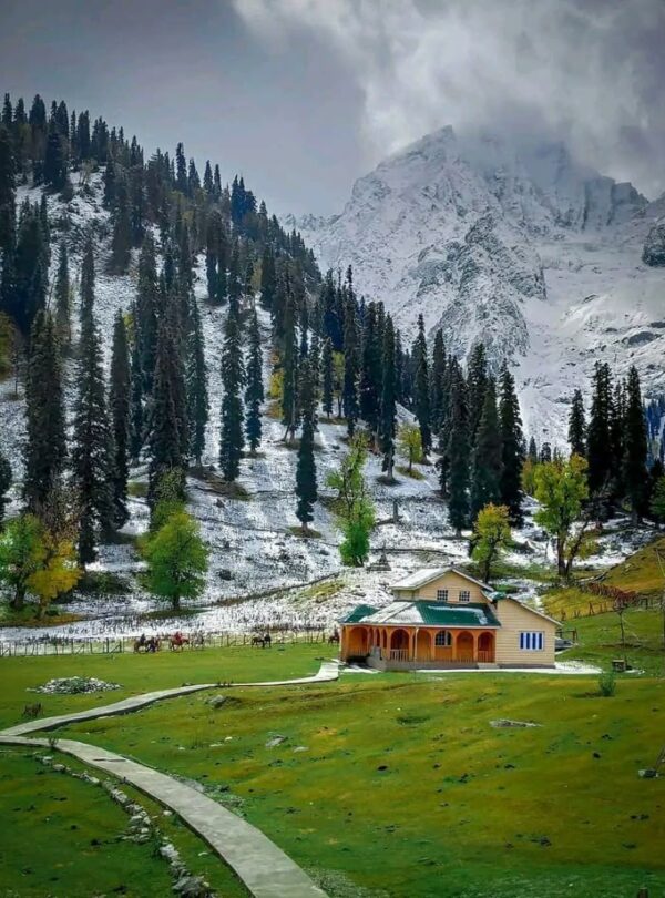 Kashmir holiday package