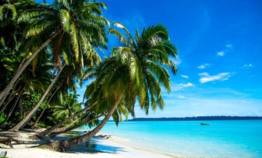 Andaman 7 Day Tour Package